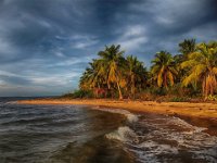 104 - GOLDEN LIGHT - SOUZA SALARINI LOURDES MARIA - brazil